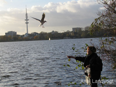 alster 007