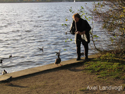 alster 008