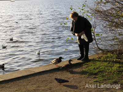 alster 009
