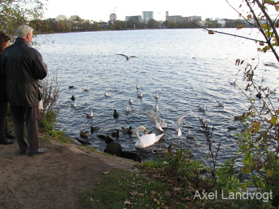 alster 022